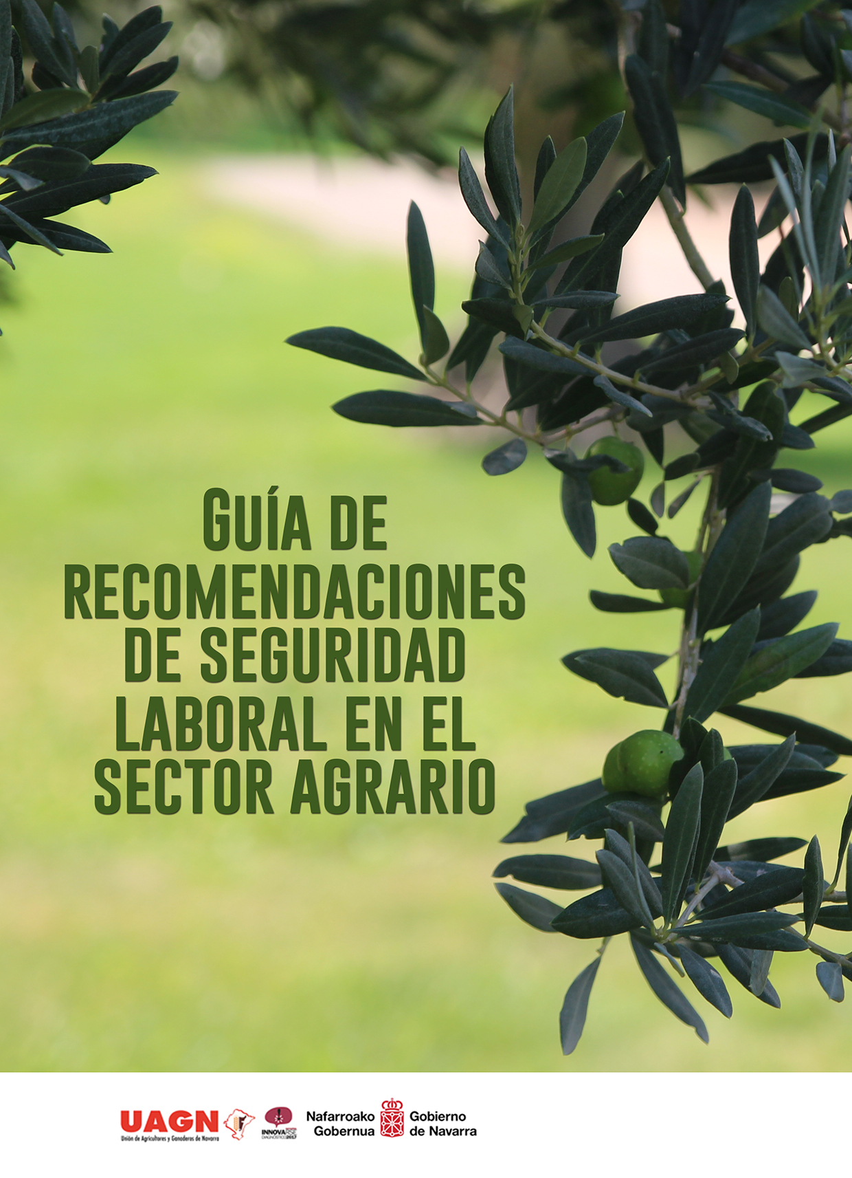 Guía de recomendaciones de seguridad laboral en el sector agrario
