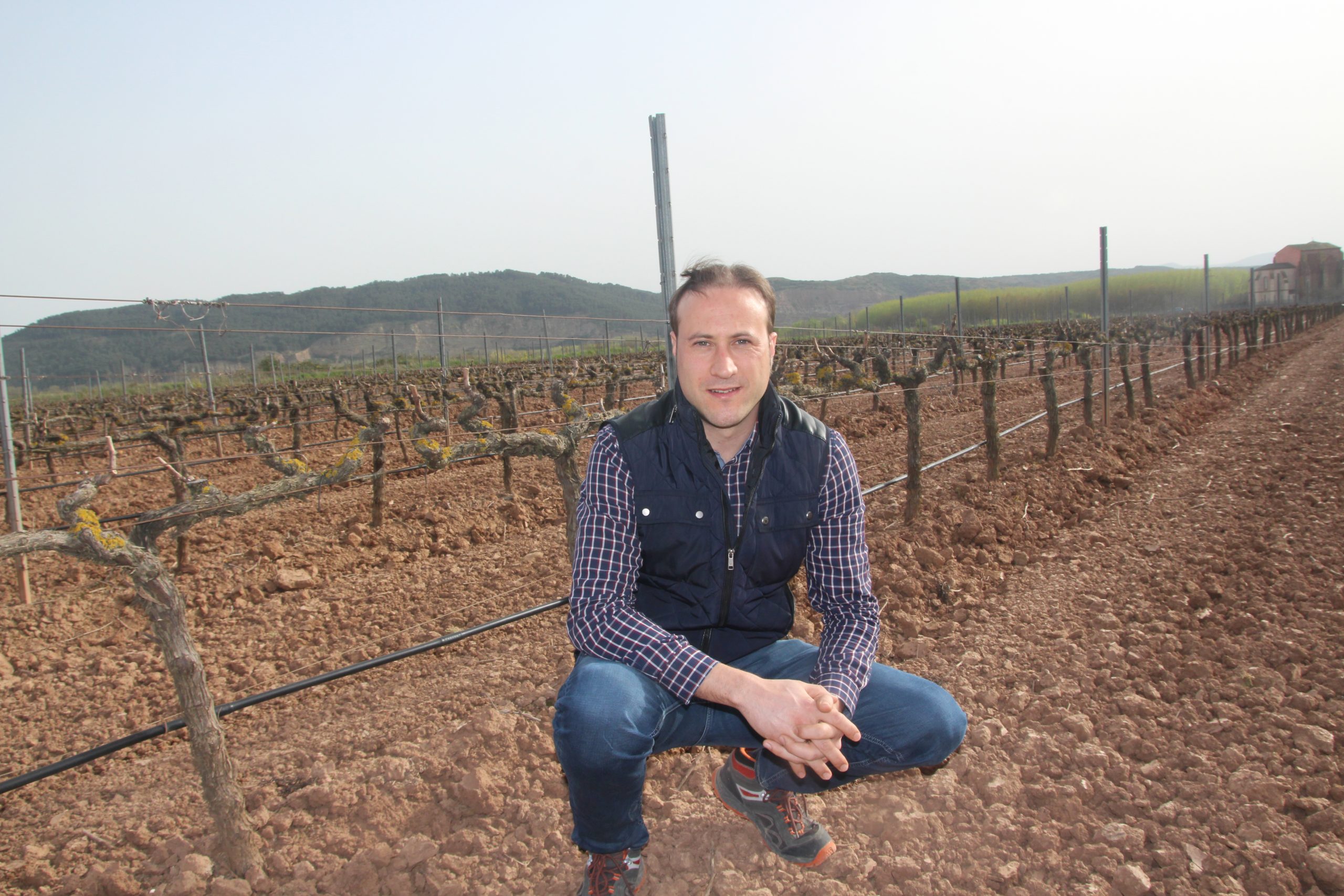 Acuerdo para las normas de vendimia 2022 en la DOC Rioja